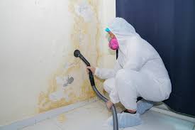 Best Attic Mold Removal  in Derby, CO